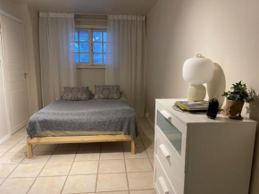 The City Centre Apartment Turku, Turku
